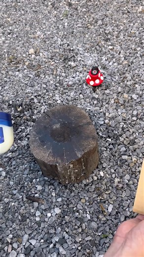 Survival Skills Cardboard Fire Starter #survival #bushcraft #lifehacks #camping #outdoors | Mr.Huffman