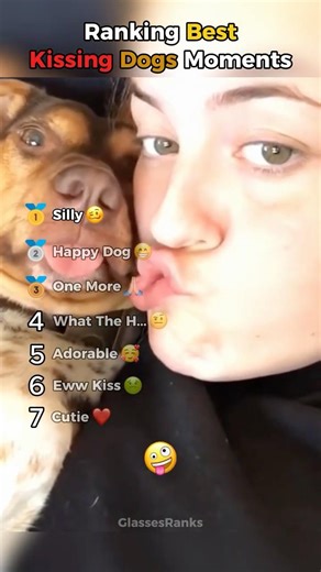 Ranking Best Kissing Dogs Moments #ranking #dogs #shorts