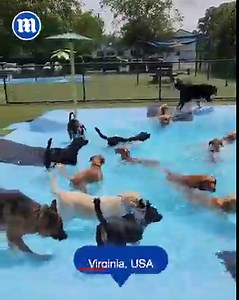 10K views · 59 reactions | Is this the best pool party ever?  | Daily Mail Moms | Facebook