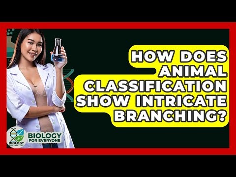 How Does Animal Classification Show Intricate Branching? - Biology For Everyone