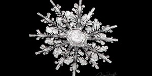 Colorado photographer captures unusual 12-pointed snowflake formation