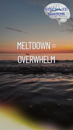 Tantrum happens when a child wants something 2