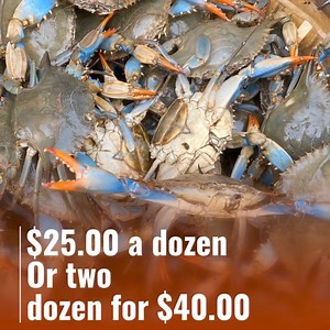 Freshly caught beautiful Crabs | Decatur's Crabs
