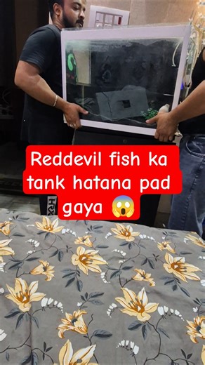 Reddevil fish ka tank hatana pad gaya 😰 #reddevil #fish #shortsviral #viralvideo #ytshorts #shorts