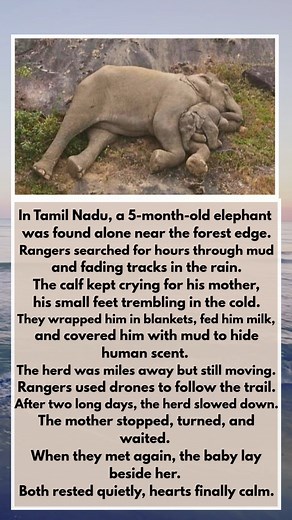 Watermelon Sugar on Reels