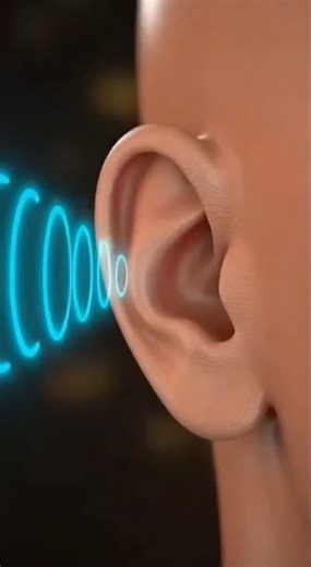 Your Ear Is a Biological Computer | How Your Ear Works in 3D #3d #biology