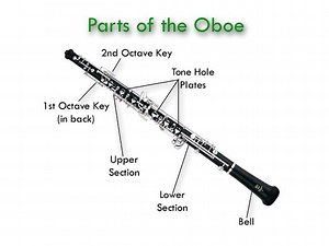Parts of a Clarinet