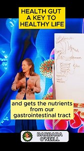 1.6K views · 14 reactions | HEALTHY GUT PART 1 #guthealth #fastdigestion #healthstomach #recoverhealth #bodyhealing #tratment #recovery #withbarbara #barbaraoneill | Healthy Lifestyle Corner | Facebook