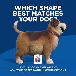 Unfortunately, 90% of pet parents with an overweight pet don’t realize it.* This tool can help you start a conversation with your veterinarian. *2018 Pet Obesity Study, Association for Pet Obesity Prevention. | Hill’s Pet Nutrition