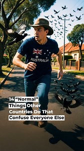 39K views · 1.2K reactions | Normal is a setting on a washing machine. Everywhere else, it’s up for debate. | Sunday Roast | Facebook