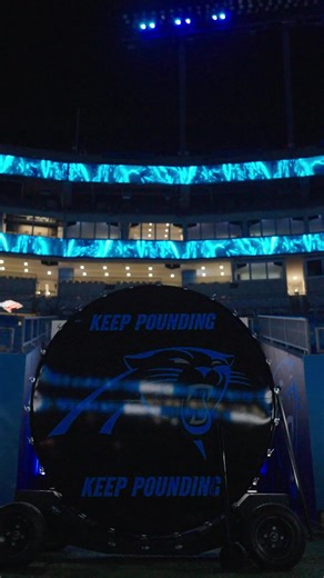 Carolina Panthers NFL Playoffs Highlights