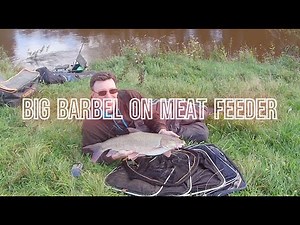 Unlocking the Secret to Catching Massive Barbel with the Cage Feeder