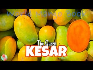 KESAR - The Queen of Mangoes || A Detailed Review || Everything You Should Know