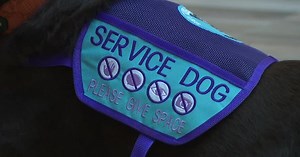 Fake service animals, ESAs; Wisconsin lawmakers tighten the leash