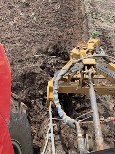 Exploring Agricultural Innovations in Mexico