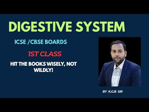 Human Digestive System | ICSE & CBSE Board | Simple Animation & Clear Concept