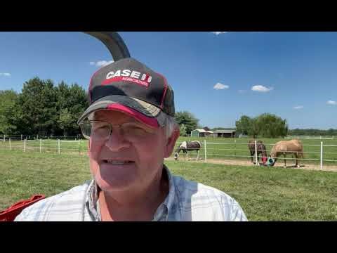 Raking Hay with 402 NEW IDEA Rolabar Rake and KUBOTA L4400