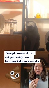 Wait... can a cat parasite mess with your brain? 😼 🧠 Toxoplasmosis affects around 1 in 3 people (yep, from cat poo 💩) and it might slow your reaction time, spike your stress, and even push you to take more risks. Dr Michele Garagnani from UniMelb's Faculty of Business and Economics and his colleagues from Lancaster University and Zeppelin University have built a super accurate online test to help uncover how toxoplasmosis could be influencing your choices, without you even knowing. | Business