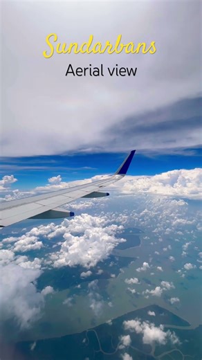 Sundarbans’ Aerial View | #sundarban #travelshorts #wildlife #westbengal