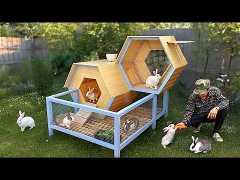 Discover secret to build 2 level rabbit house from discarded wood