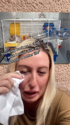 Hamster Care Guide: Before and After Transformation