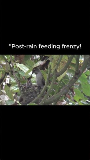 They’re getting so big!