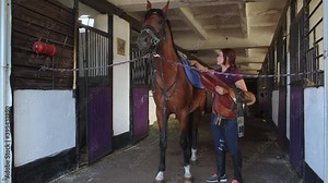 Woman putting saddle on clean horse standing near a stall