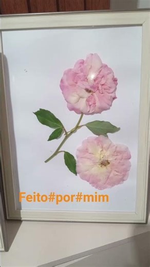 #lovedit #likedit #postedit #youtubeshorts #subscribe