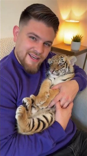 I found a baby tiger and made a decision