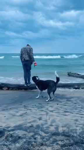 Sunset Cruise Along Michigan’s Stunning Coast