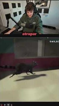 He programado un MAPACHE LADRÓN para el juego con IDEAS de SEGUIDORES 🦝💰🎓 #gamedev