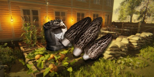 Once Human: How to Get Morel