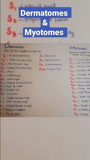 Dermatomes and Myotomes| Easy to learn #dermatomes #myotomes #notes #physiolearning #keepsupporting