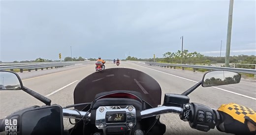 Exposing Harley owners: What we found out!