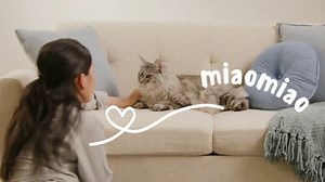 Pacagen TV Spot, 'Our Cat MiaoMiao: Holiday Offer'