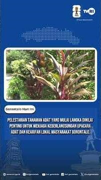 GORONTALO'S CUSTOMARY PLANTS ARE BECOME INCREASINGLY RARE