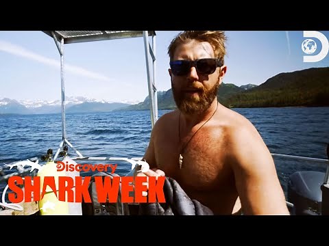Forrest Galante's Unbelievable Encounter with a Sleeper Shark | Shark Week | Discovery