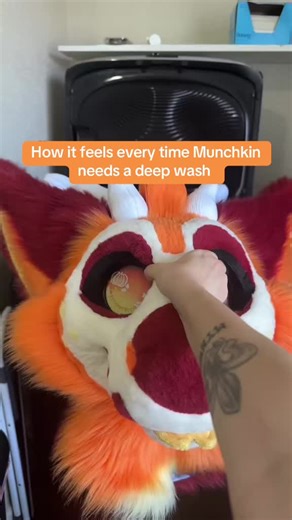 Munchkin is washer machine safe but it’s still always such a nerve racking experience! #furry #fursona #fursuit #fursuiter #furryfandom #furrytiktok #fyp #fypシ #trending