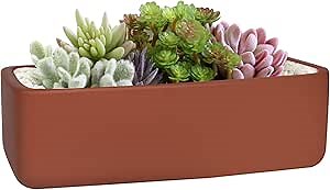10 Inch Rectangular Shallow Terracotta Pot, Clay Long Succulent Planter with Drainage Holes for Indoor Plants, Terracotta