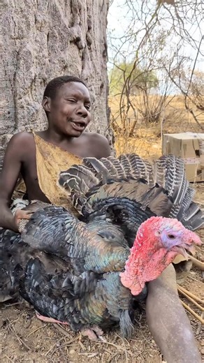 How Tribes Use a Bird to Hunt Big Animals