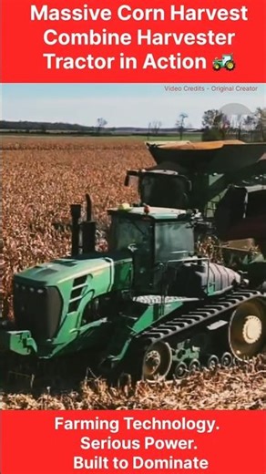 Massive Corn Harvest | Combine Harvester & Tractor in Action 🚜 #shorts #mantechhd #farmingtechnology