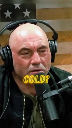 🏹Moose Hunting Season Explained🦌