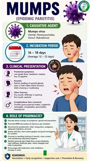 Mumps (Epidemic Parotitis) Explained: Virus, Symptoms, Complications & Pharmacist Role #mumps