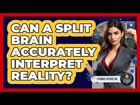 Can A Split Brain Accurately Interpret Reality? - Strange Science HQ