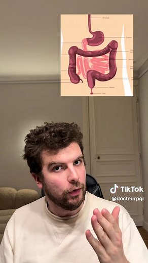 Tout savoir sur les diverticules : risques et diagnostics