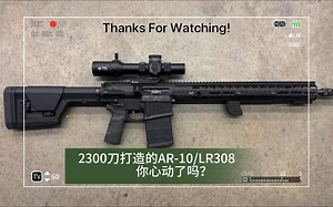 用 2300 美元打造一支中级 AR-10/LR308。