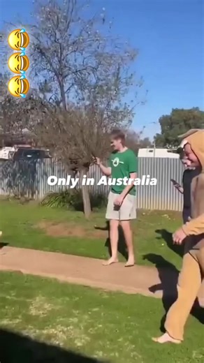 Just the average day in Australia… 😂😂😂 #fyp #viral #aussie #Australia #foryou