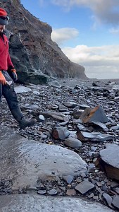 3.4M views · 43K reactions | *Use code BIGFOSSIL25 for 25% off all...