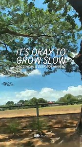 159K views · 4.5K reactions | The Parable of the Sower (Matthew...