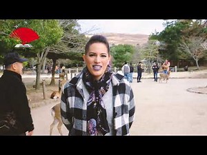 8 Days Japan Delight – Stunning Tours